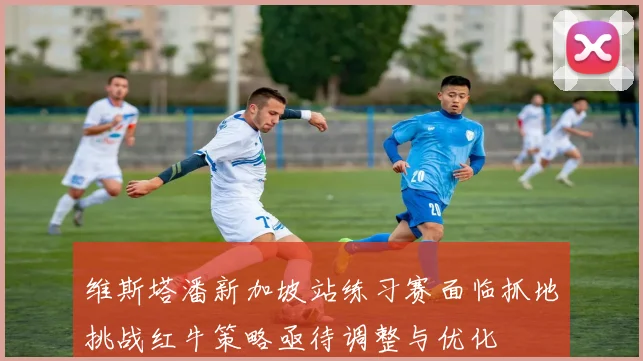 维斯塔潘新加坡站练习赛面临抓地挑战红牛策略亟待调整与优化