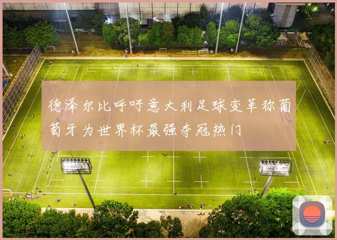 德泽尔比呼吁意大利足球变革称葡萄牙为世界杯最强夺冠热门