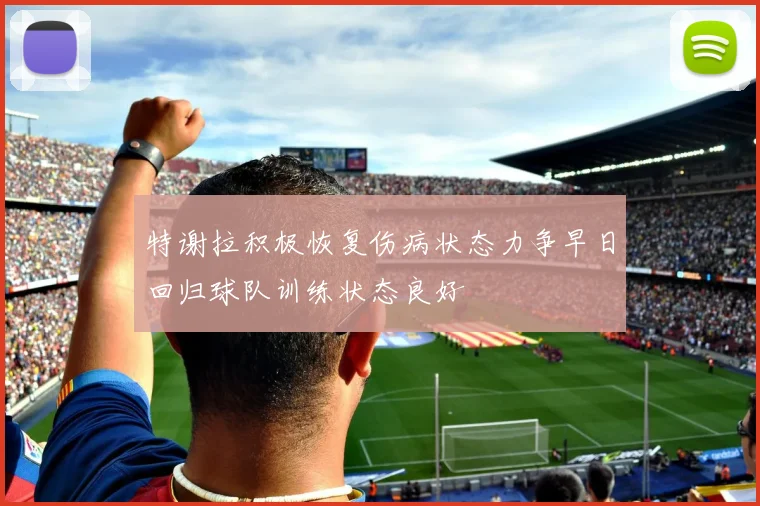 特谢拉积极恢复伤病状态力争早日回归球队训练状态良好