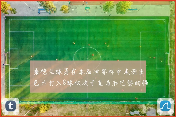 桑德兰球员在本届世界杯中表现出色已打入8球仅次于皇马和巴黎的强劲表现